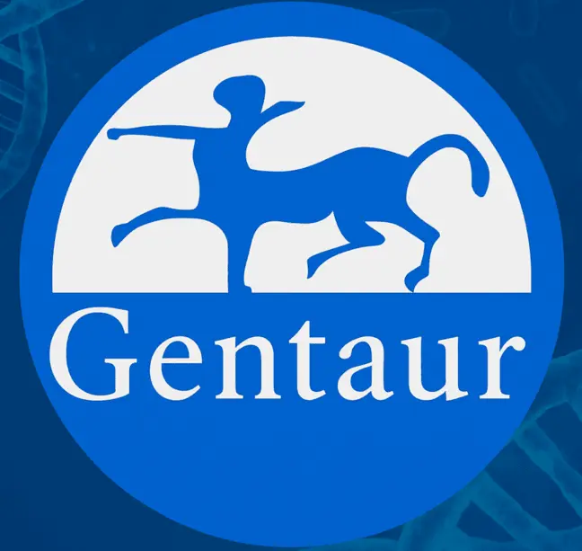 3-well gastkets for CC03 and CCR3