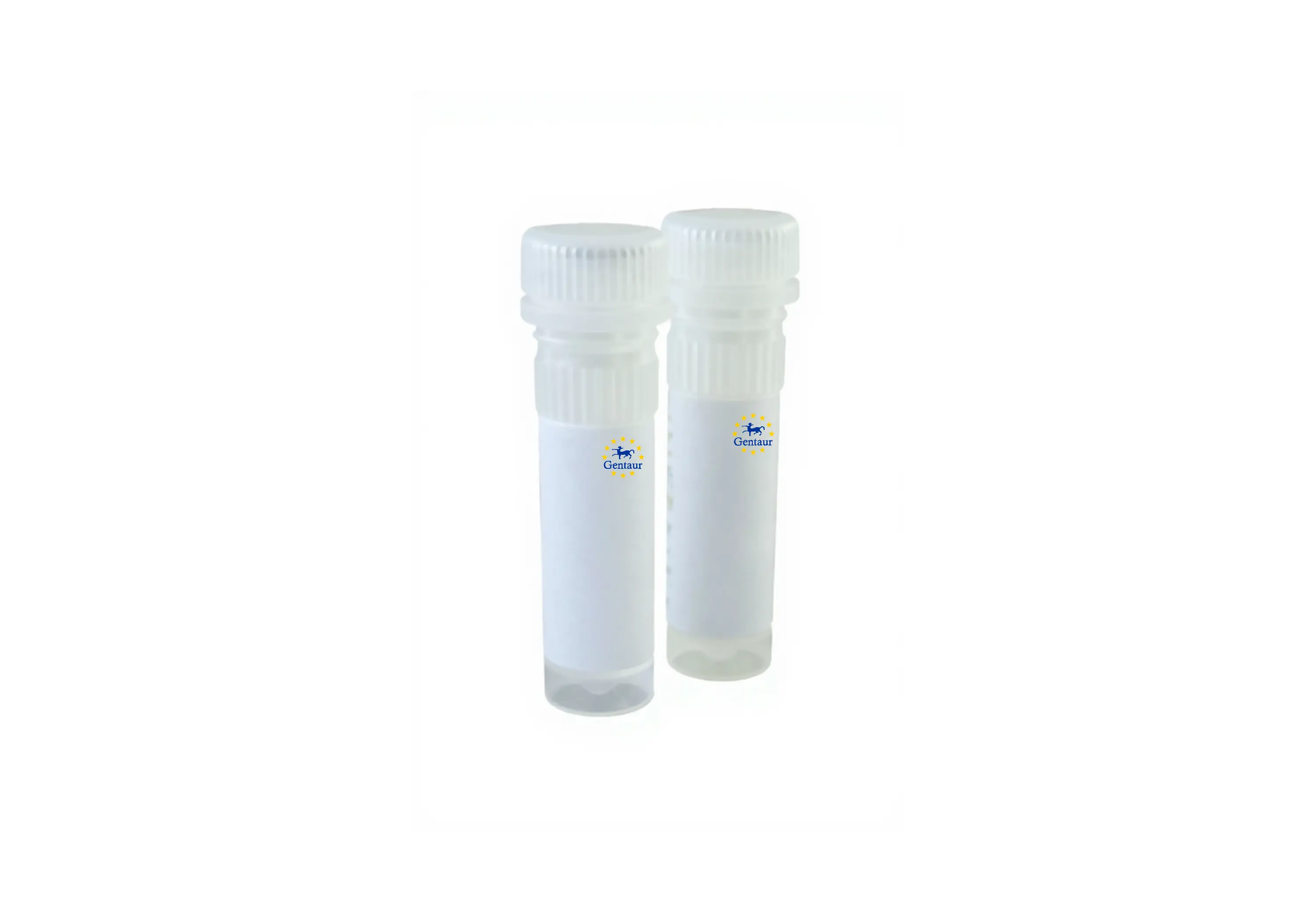  retrovirus purification mini kit 